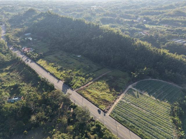 內門農地-3