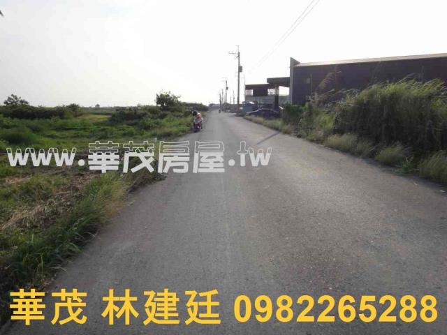 台南法拍農地-2