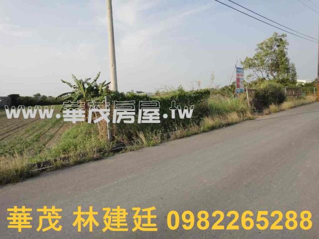 台南法拍農地-4