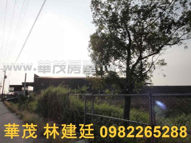 台南法拍農地-7
