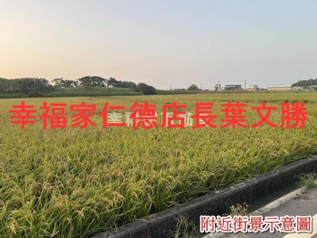 台南農地-11