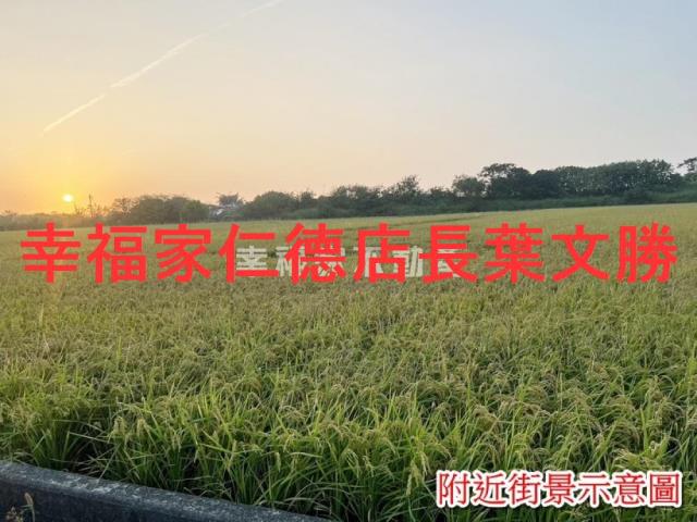 台南農地-5