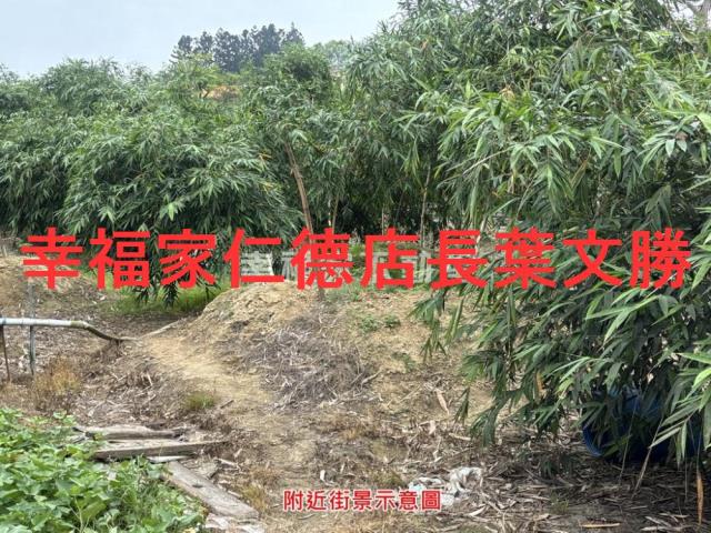 台南農地-10