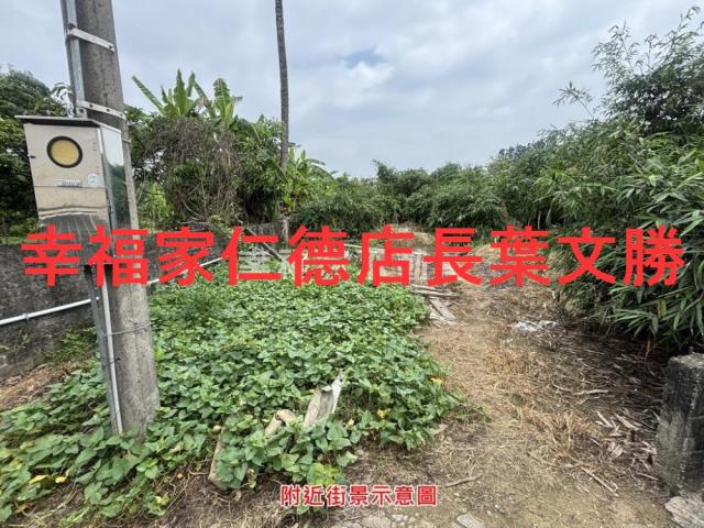 台南農地-5