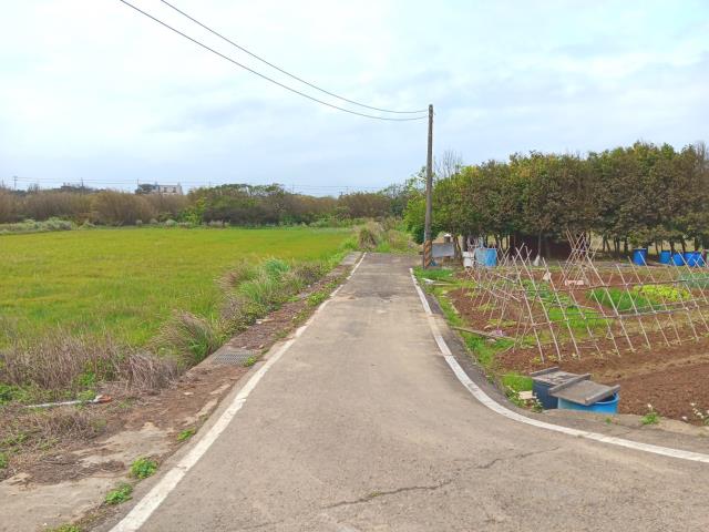 桃園觀音農地-5
