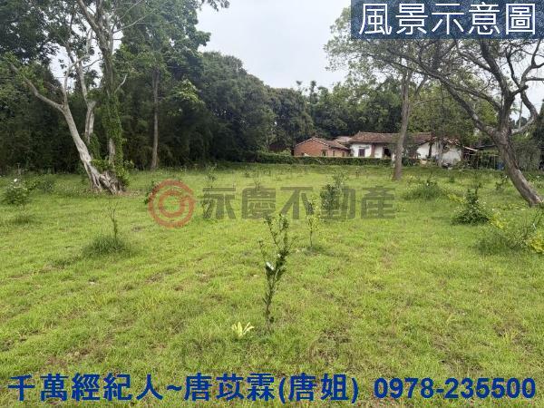 新竹關西農地-3