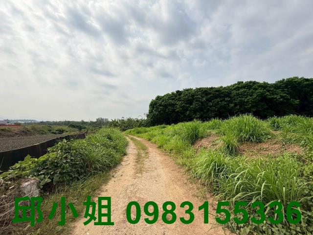 嘉義大林農地-2