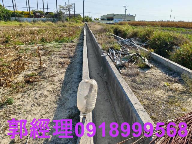 台南佳里農地-6