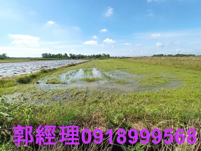 台南鹽水農地-2