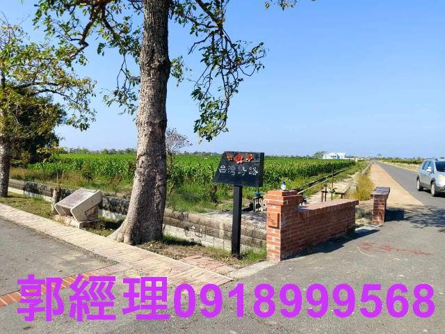 台南鹽水農地-10