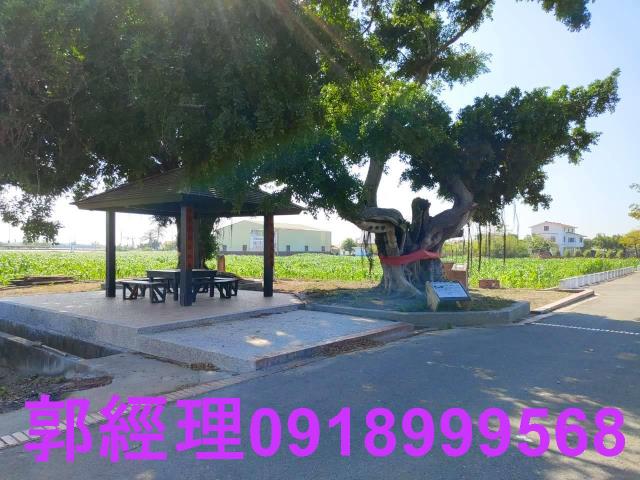 台南鹽水農地-13