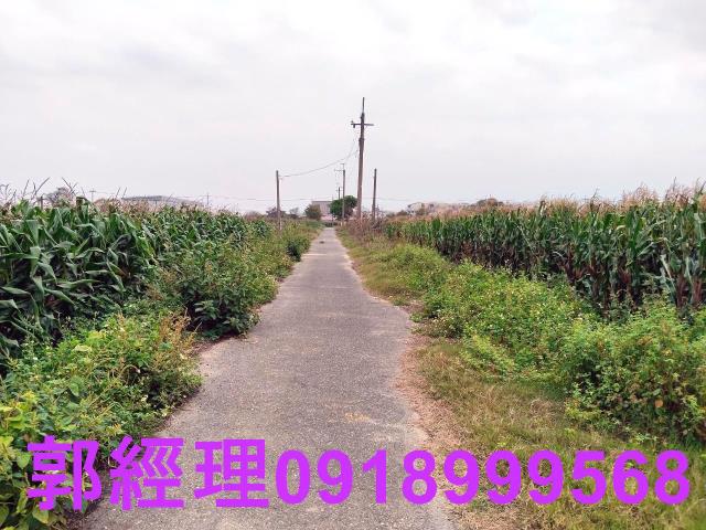 台南新營農地-6