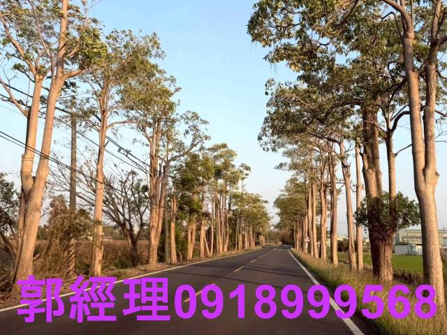 後壁建地-0