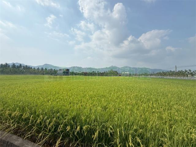 美濃農地-9