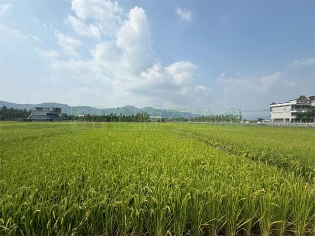 美濃農地-1