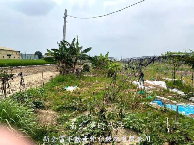 西區農地-10