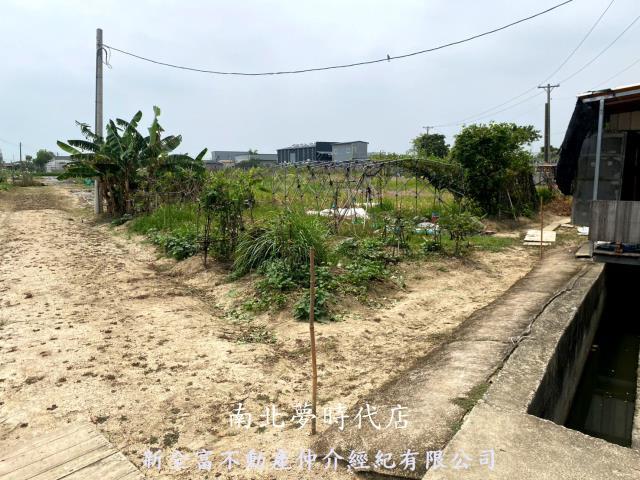 西區農地-11