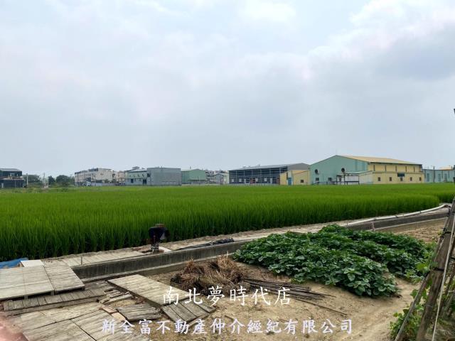西區農地-5