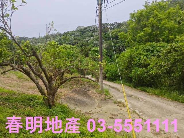 頭份農地-3