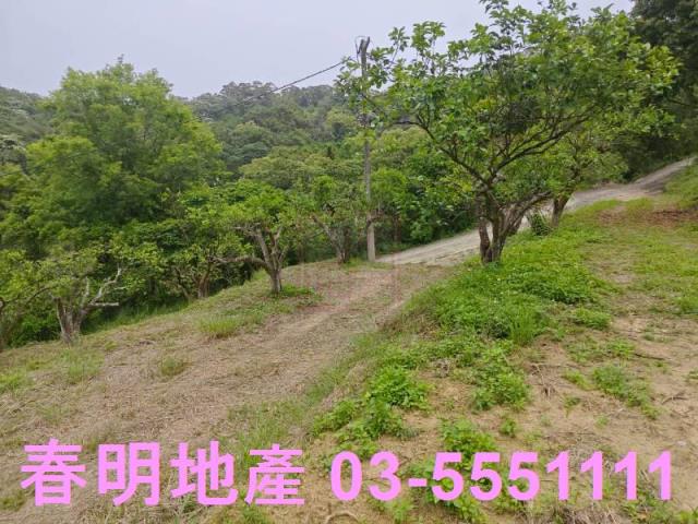 頭份農地-6