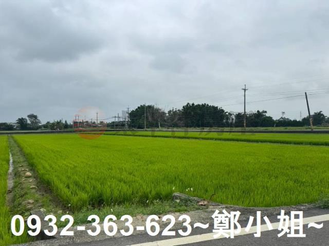 新屋農地-2