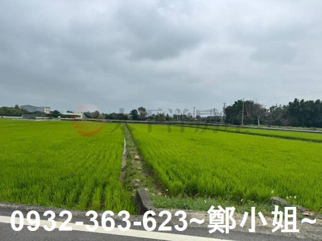新屋農地-3