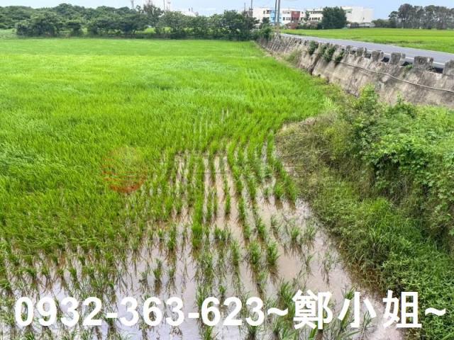 新屋農地-8