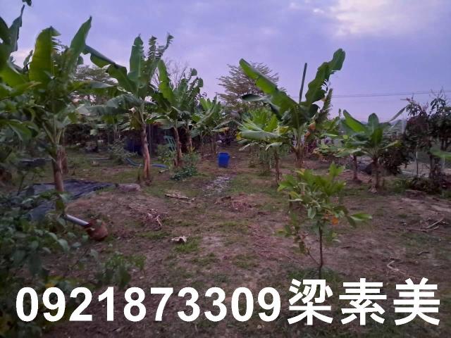 台南農地-2