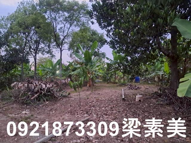 台南農地-3