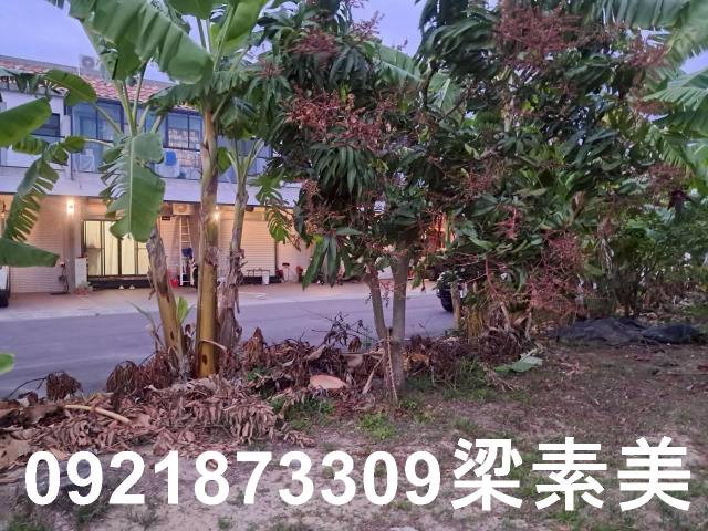 台南農地-5
