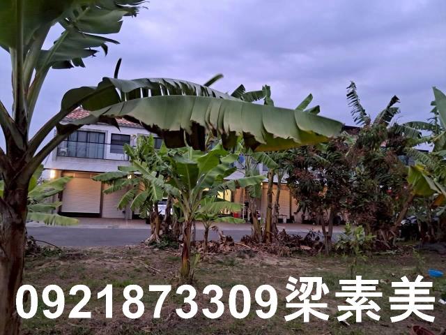 台南農地-8
