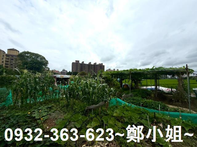 桃園農地-6
