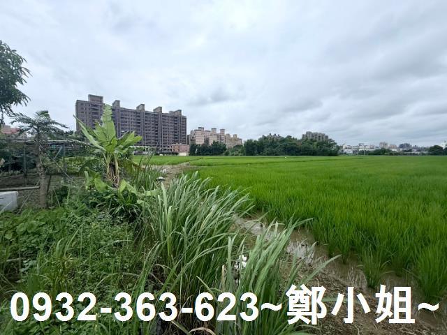 桃園農地-7