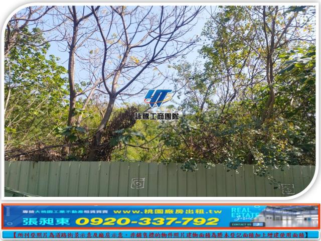 桃園蘆竹工業地-0