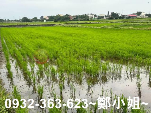 桃園新屋農地-13