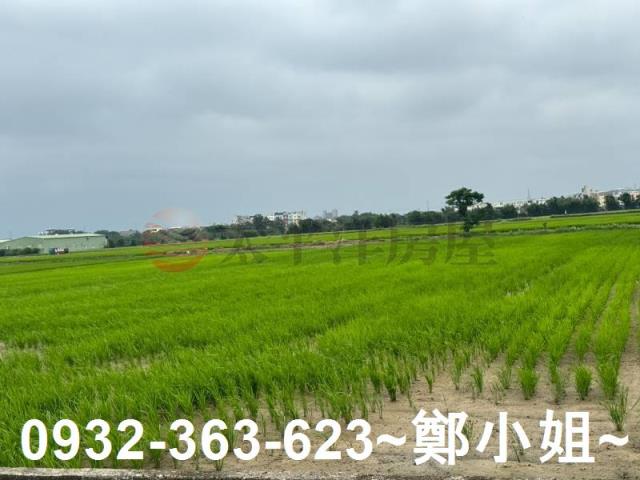 桃園新屋農地-14