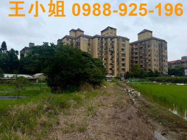 桃園桃園區農地-6