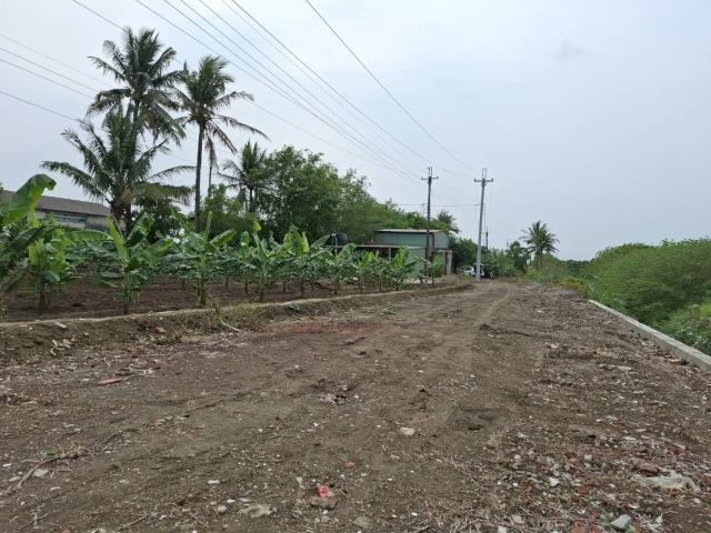 高雄路竹農地-5