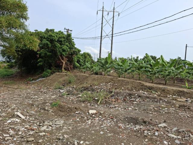 高雄路竹農地-6