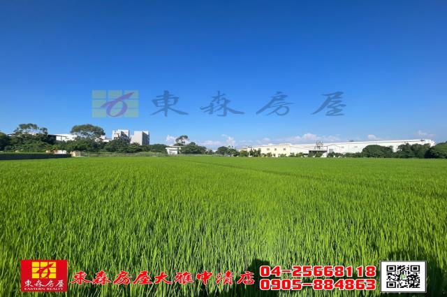 台中神岡農地-4