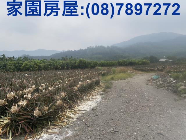屏東萬巒農地-1