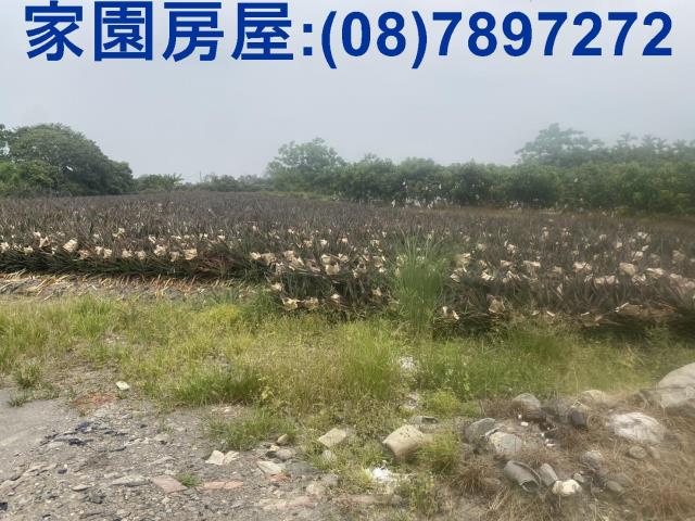 屏東萬巒農地-4