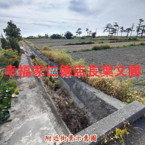 學甲農地-7