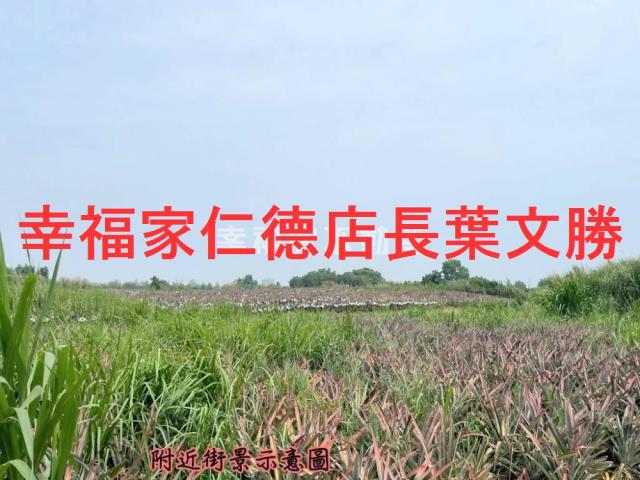 關廟農地-15
