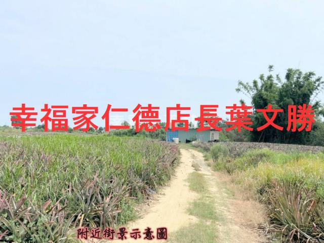 關廟農地-2