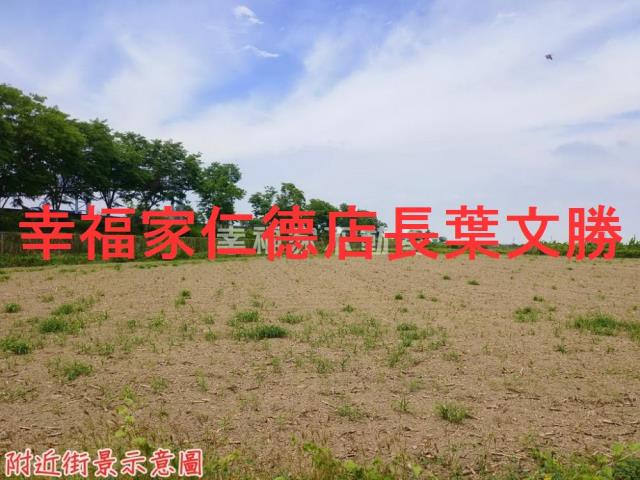 新營農地-5