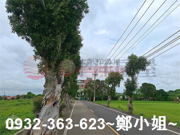 中壢農地-6