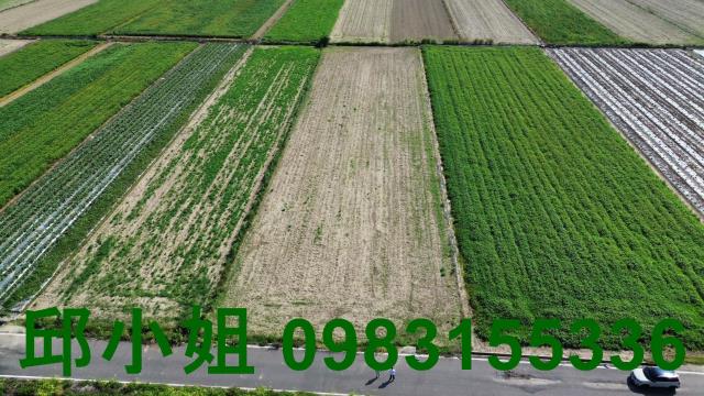 鹿草農地-1