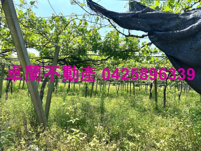 卓蘭農地-1