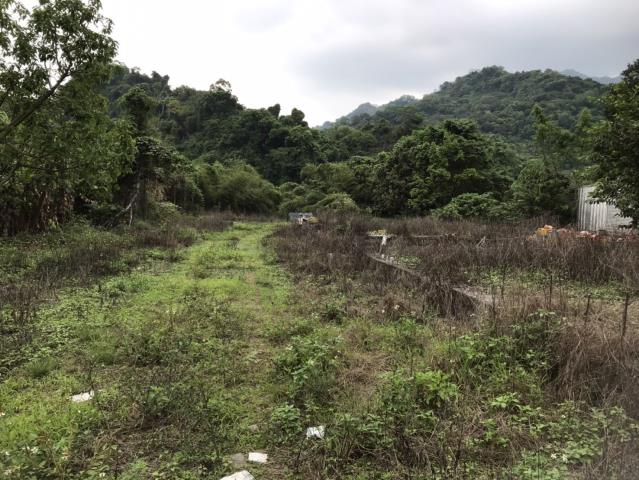 台中建地-13